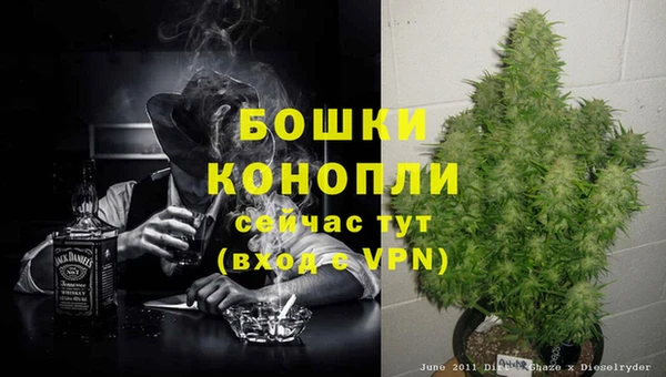 СК Рославль