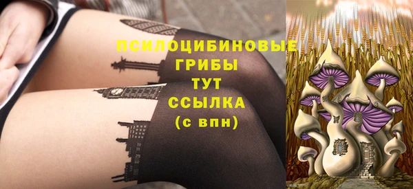 СК Рославль