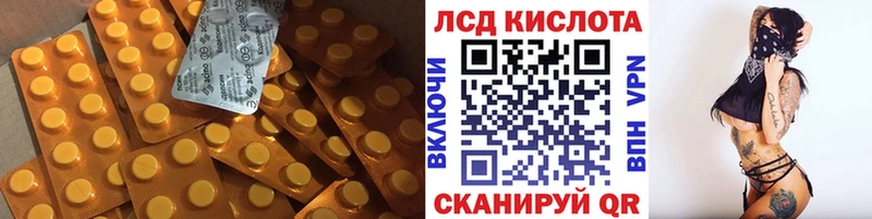 продажа наркотиков  Кизляр  LSD-25 экстази ecstasy 