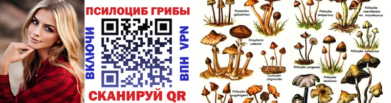 Галлюциногенные грибы мицелий MEGA ссылка Кизляр