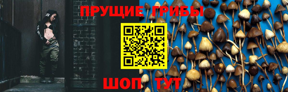 Гашиш  Кизляр  МДМА  МЕФ   Вход с VPN  Гашиш  КОКАИН  МАРИХУАНА 