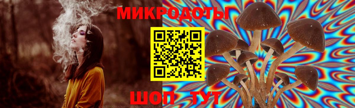 Псилоцибиновые грибы мицелий Кизляр